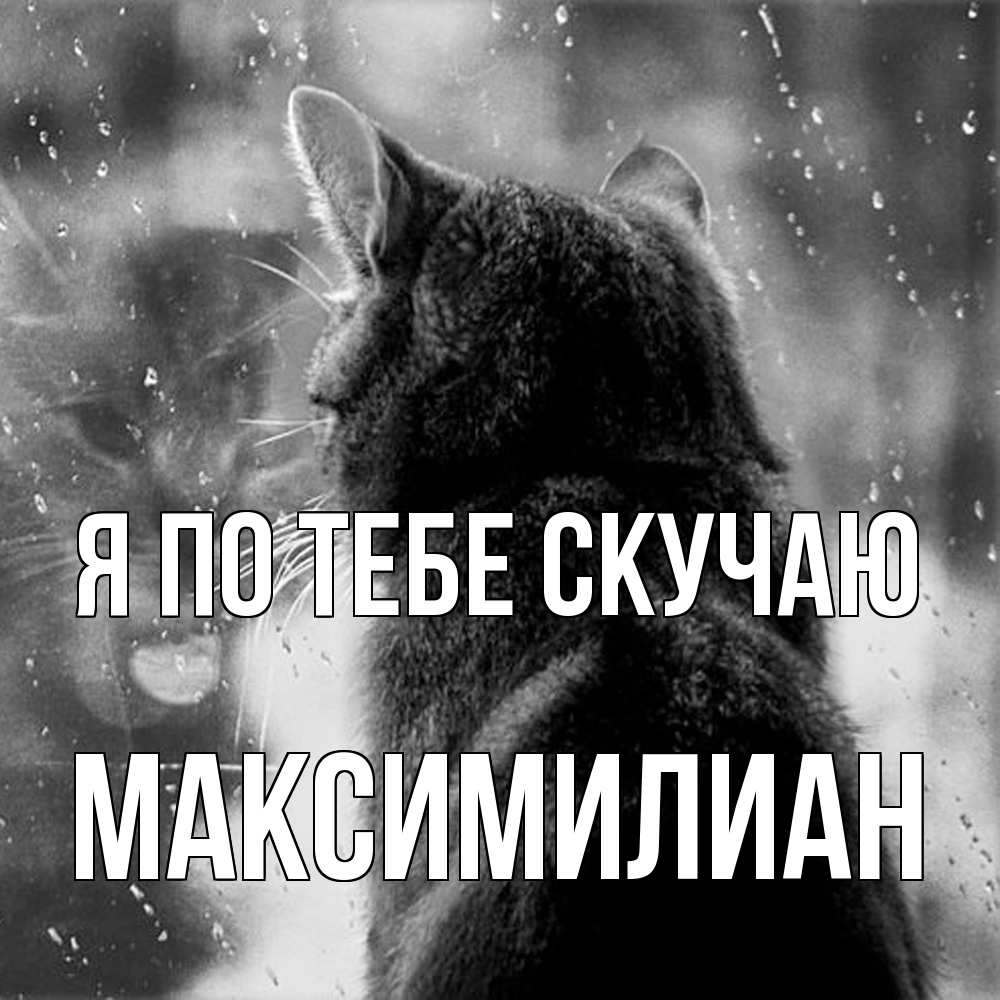 Открытка на каждый день с именем, Максимилиан Я по тебе скучаю скорее ко мне приходи 1 Прикольная открытка с пожеланием онлайн скачать бесплатно 