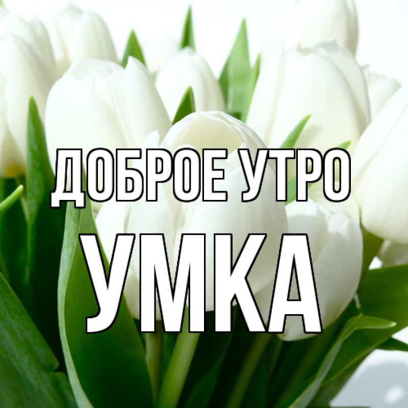 Картинка Доброе утро, умка