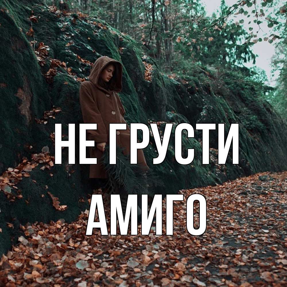 Открытка на каждый день с именем, Амиго Не грусти осенний лес Прикольная открытка с пожеланием онлайн скачать бесплатно 