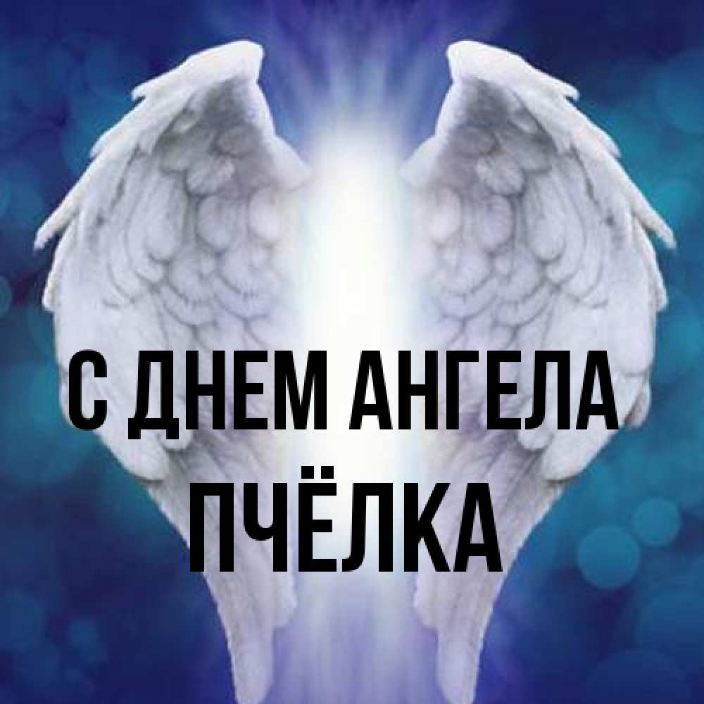 Открытка на каждый день с именем, Пчёлка С днем ангела синий фон и крылышки Прикольная открытка с пожеланием онлайн скачать бесплатно 