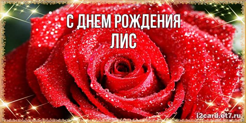 Картинка С днем рождения, лис