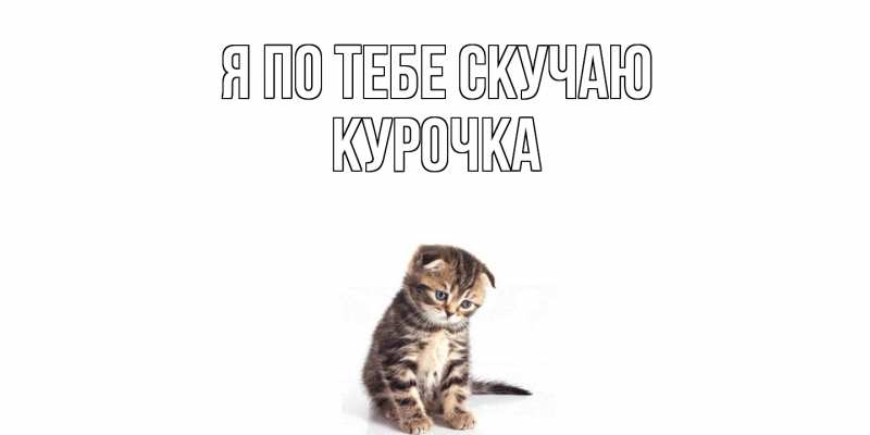 Картинка Я по тебе скучаю, Курочка