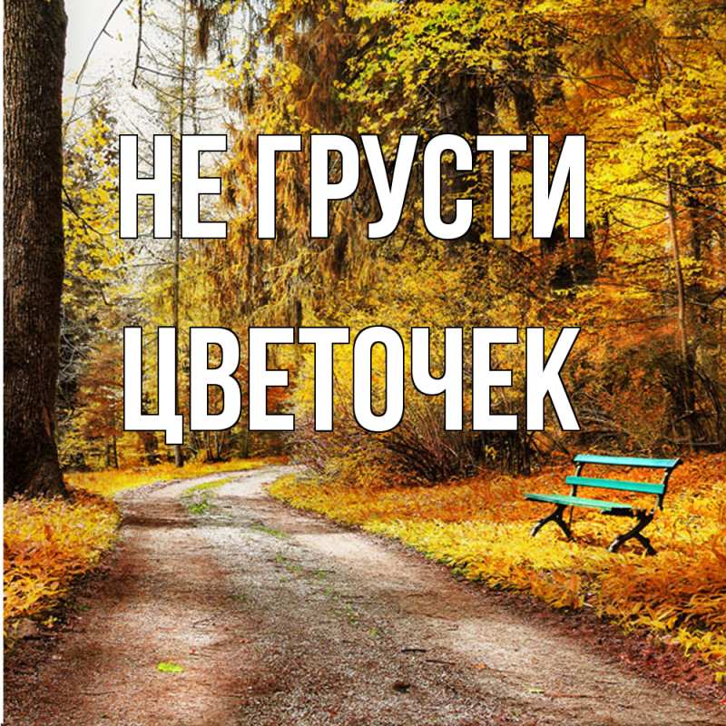 Картинка Не грусти, Цветочек