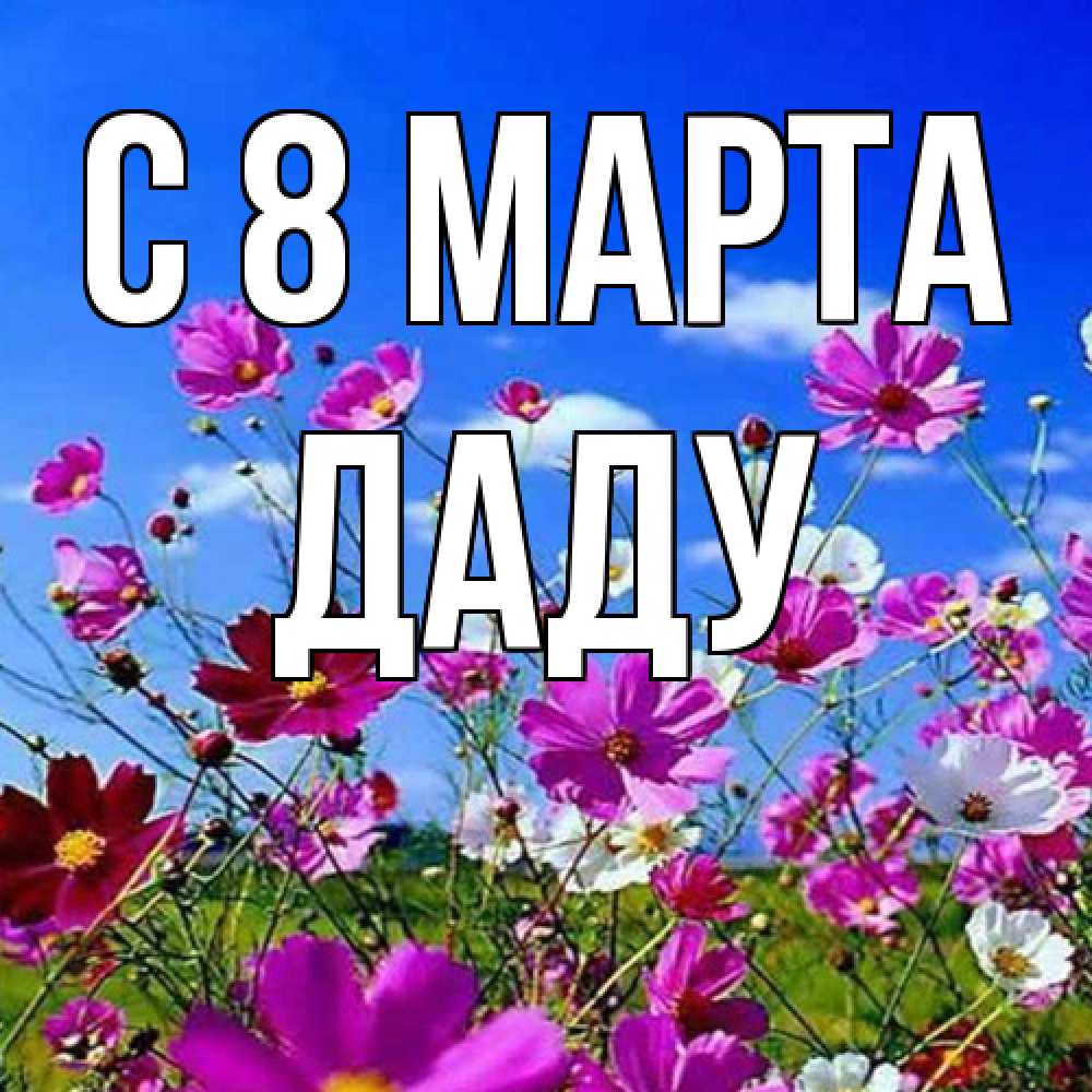 Открытка на каждый день с именем, Даду C 8 МАРТА цветы Прикольная открытка с пожеланием онлайн скачать бесплатно 