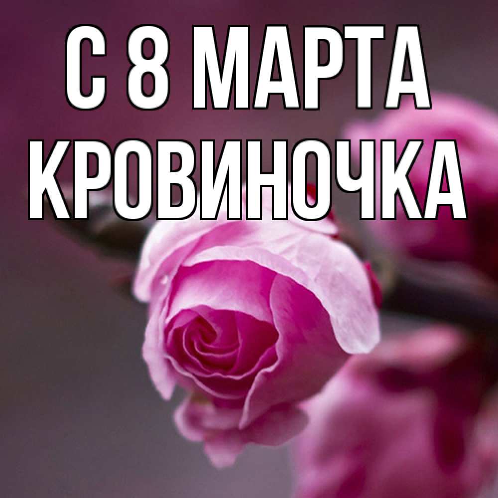 Открытка на каждый день с именем, кровиночка C 8 МАРТА весна Прикольная открытка с пожеланием онлайн скачать бесплатно 