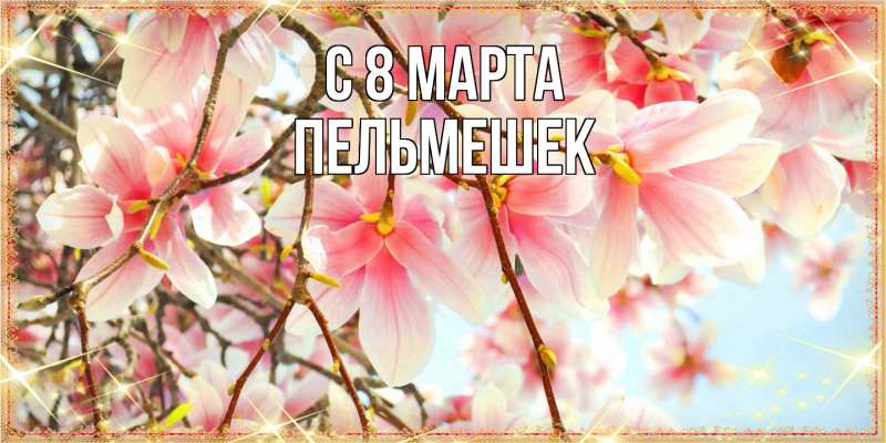Картинка C 8 МАРТА, пельмешек