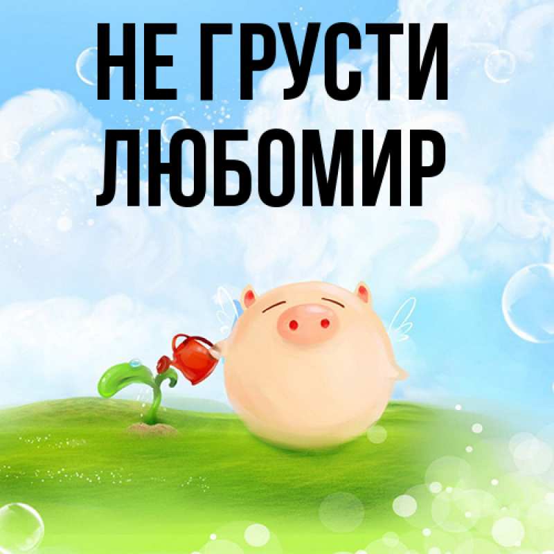 Картинка Не грусти, Любомир