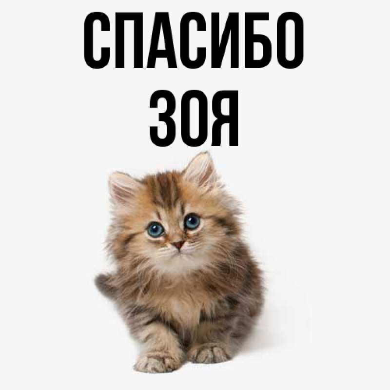 Картинка Спасибо, Зоя