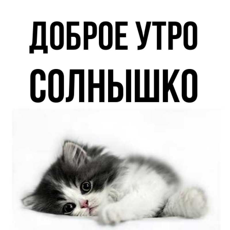 Картинка Доброе утро, Солнышко
