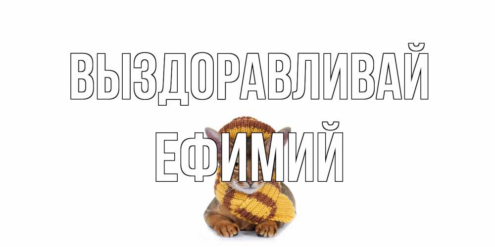 Открытка на каждый день с именем, Ефимий Выздоравливай родные не болейте Прикольная открытка с пожеланием онлайн скачать бесплатно 