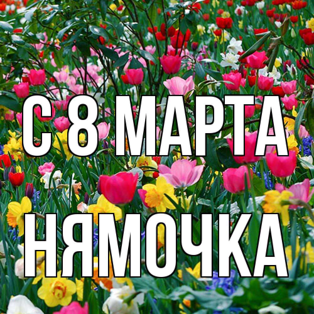 Открытка на каждый день с именем, нямочка C 8 МАРТА с международным женским днем поздравления для женщины Прикольная открытка с пожеланием онлайн скачать бесплатно 