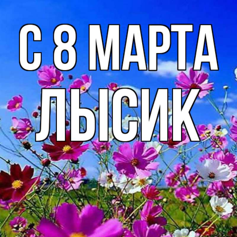 Картинка C 8 МАРТА, Лысик