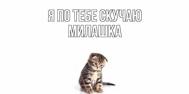 Картинка Я по тебе скучаю, Милашка