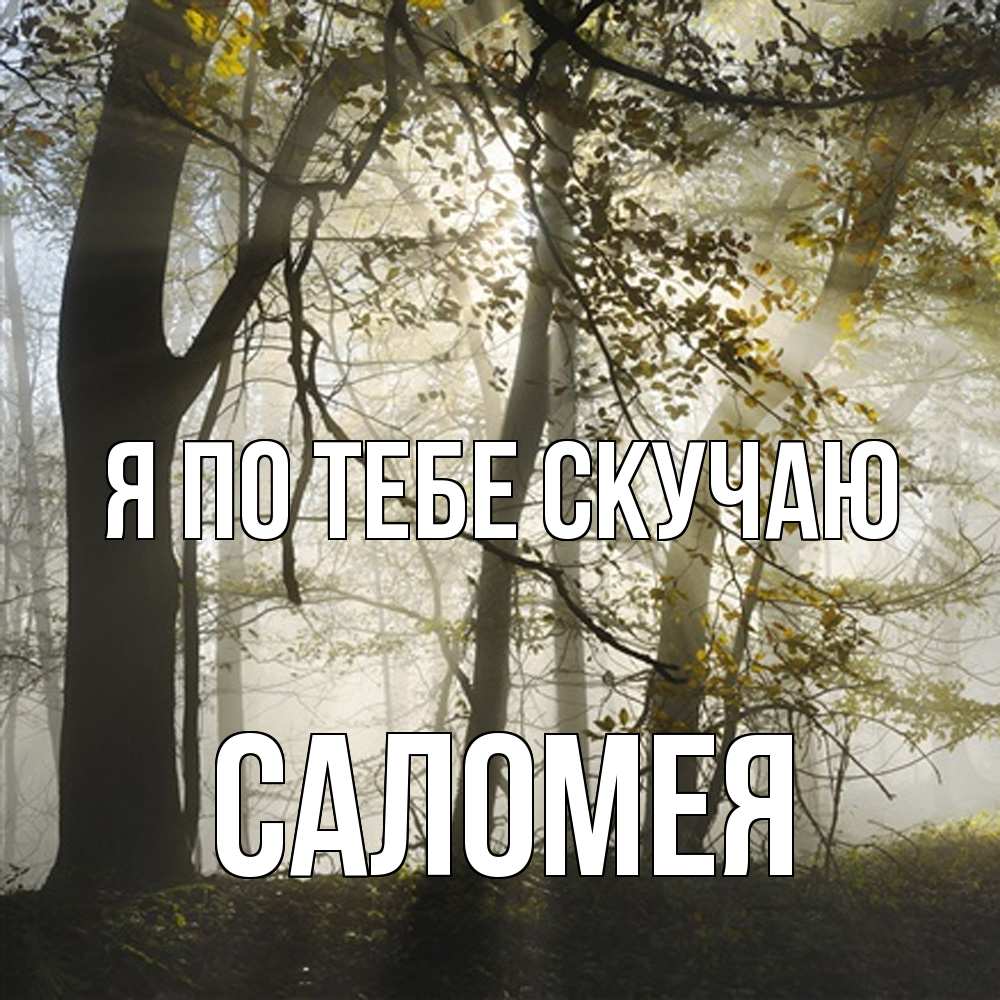 Открытка на каждый день с именем, Саломея Я по тебе скучаю грустно Прикольная открытка с пожеланием онлайн скачать бесплатно 