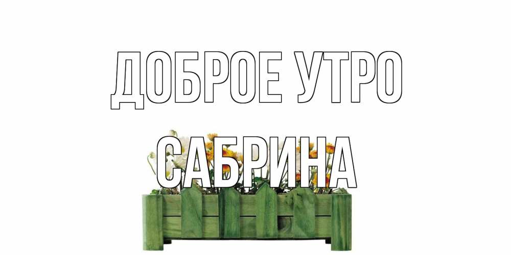Открытка на каждый день с именем, Сабрина Доброе утро цветы Прикольная открытка с пожеланием онлайн скачать бесплатно 