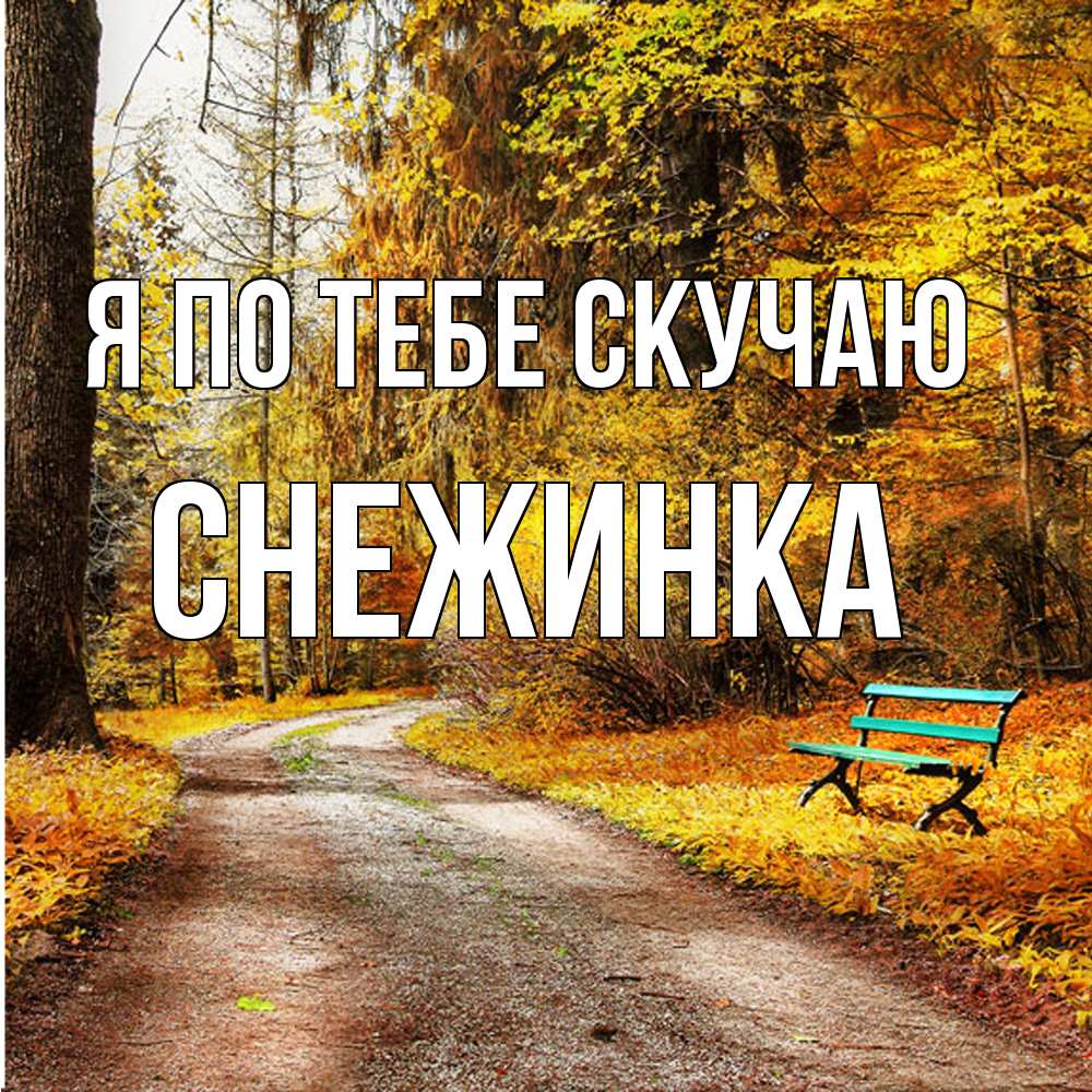 Открытка на каждый день с именем, Снежинка Я по тебе скучаю зеленая лавочка и осенний лес Прикольная открытка с пожеланием онлайн скачать бесплатно 