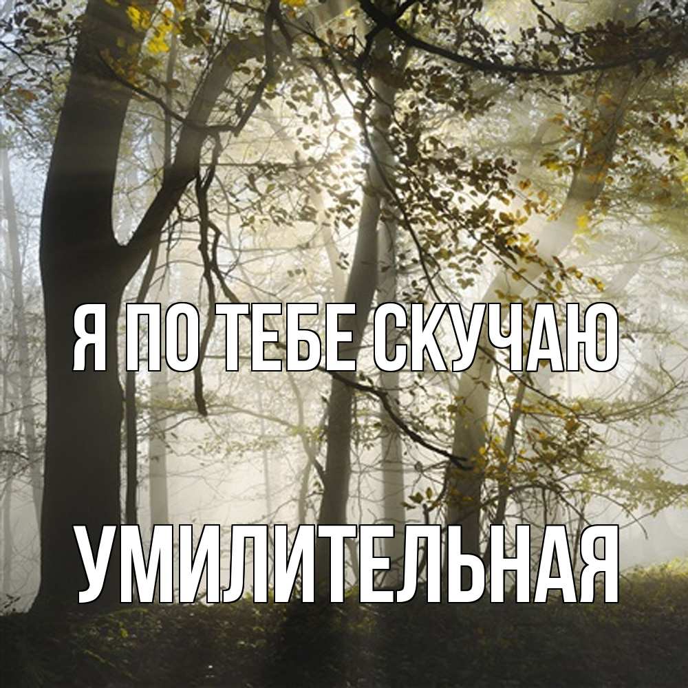 Открытка на каждый день с именем, умилительная Я по тебе скучаю грустно Прикольная открытка с пожеланием онлайн скачать бесплатно 