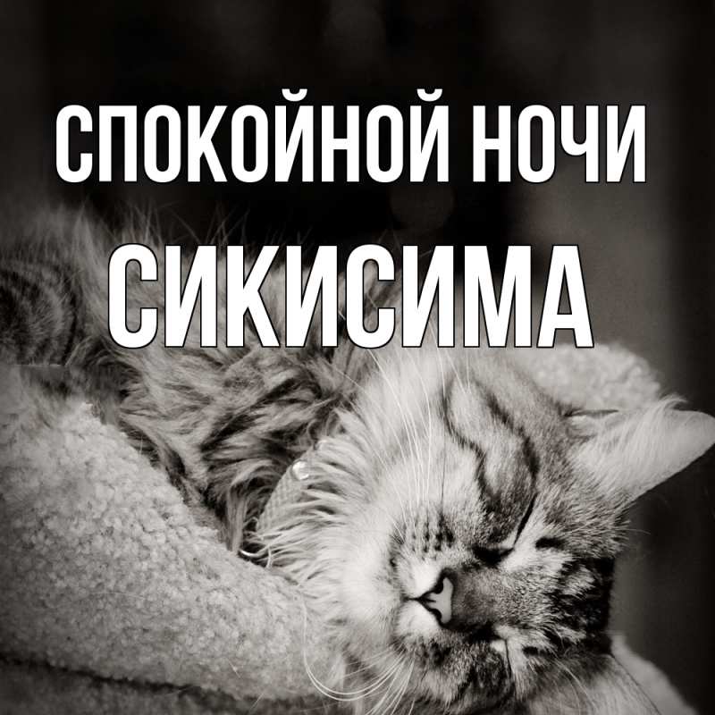 Картинка Спокойной ночи, Сикисима