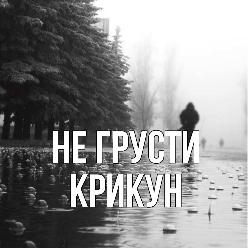 Открытка на каждый день с именем, Крикун Не грусти улица под дождем Прикольная открытка с пожеланием онлайн скачать бесплатно 