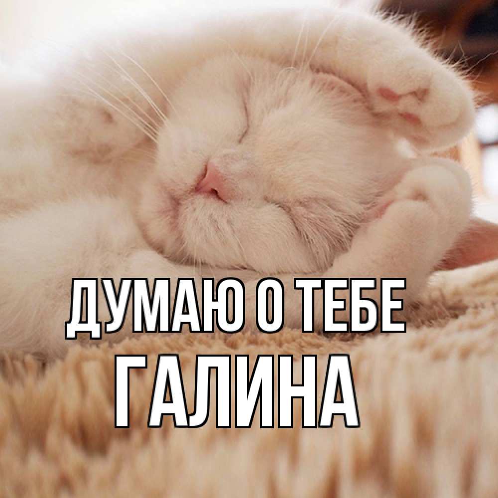 Открытка на каждый день с именем, галина Думаю о тебе для любимой девушки милота Прикольная открытка с пожеланием онлайн скачать бесплатно 