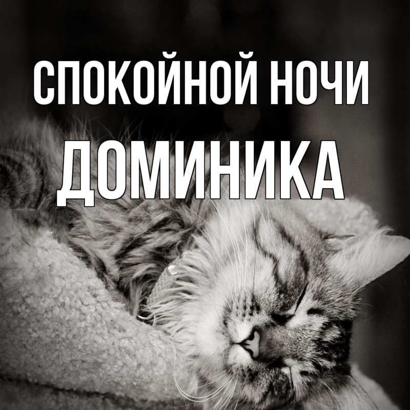 Картинка Спокойной ночи, Доминика