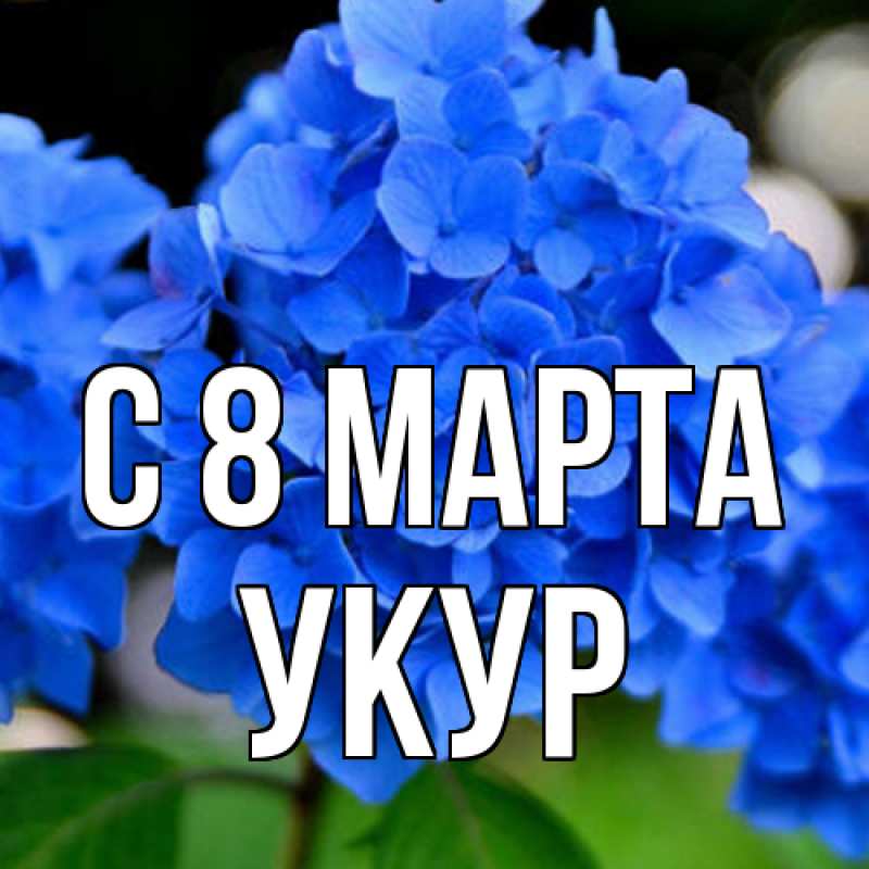 Картинка C 8 МАРТА, Укур