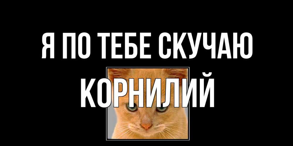 Открытка на каждый день с именем, Корнилий Я по тебе скучаю открытки рыжий котенок скучает по тебе Прикольная открытка с пожеланием онлайн скачать бесплатно 