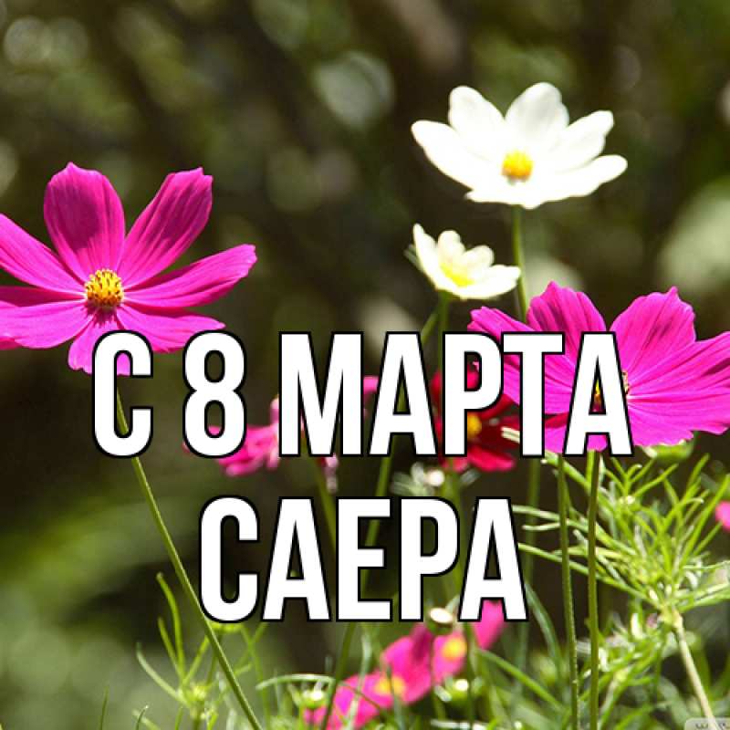 Картинка C 8 МАРТА, Саера