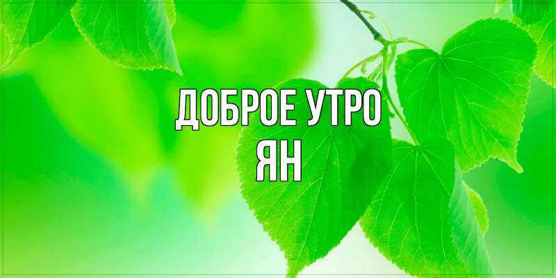 Картинка Доброе утро, Ян