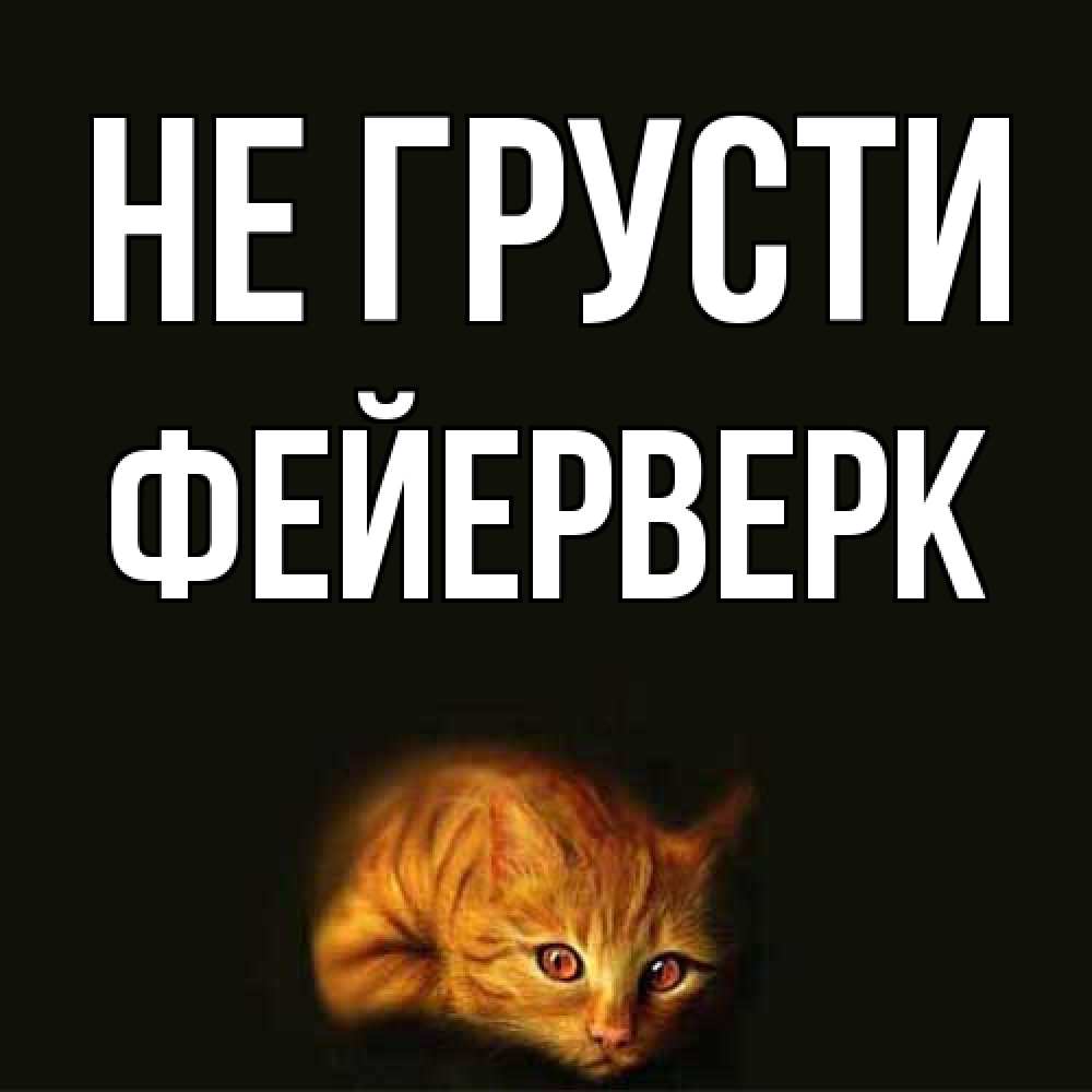Открытка на каждый день с именем, Фейерверк Не грусти лежащий кот в темноте Прикольная открытка с пожеланием онлайн скачать бесплатно 