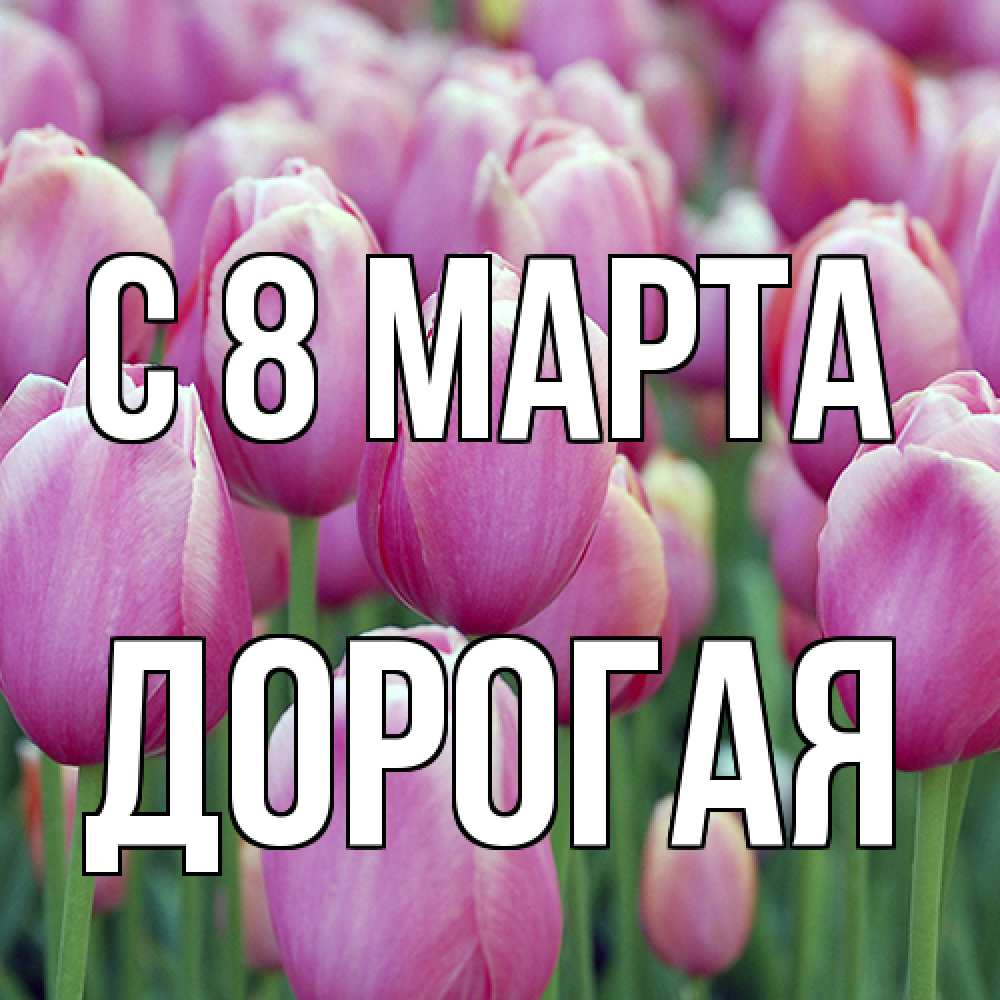 Открытка на каждый день с именем, Дорогая C 8 МАРТА на международный женский день 3 Прикольная открытка с пожеланием онлайн скачать бесплатно 