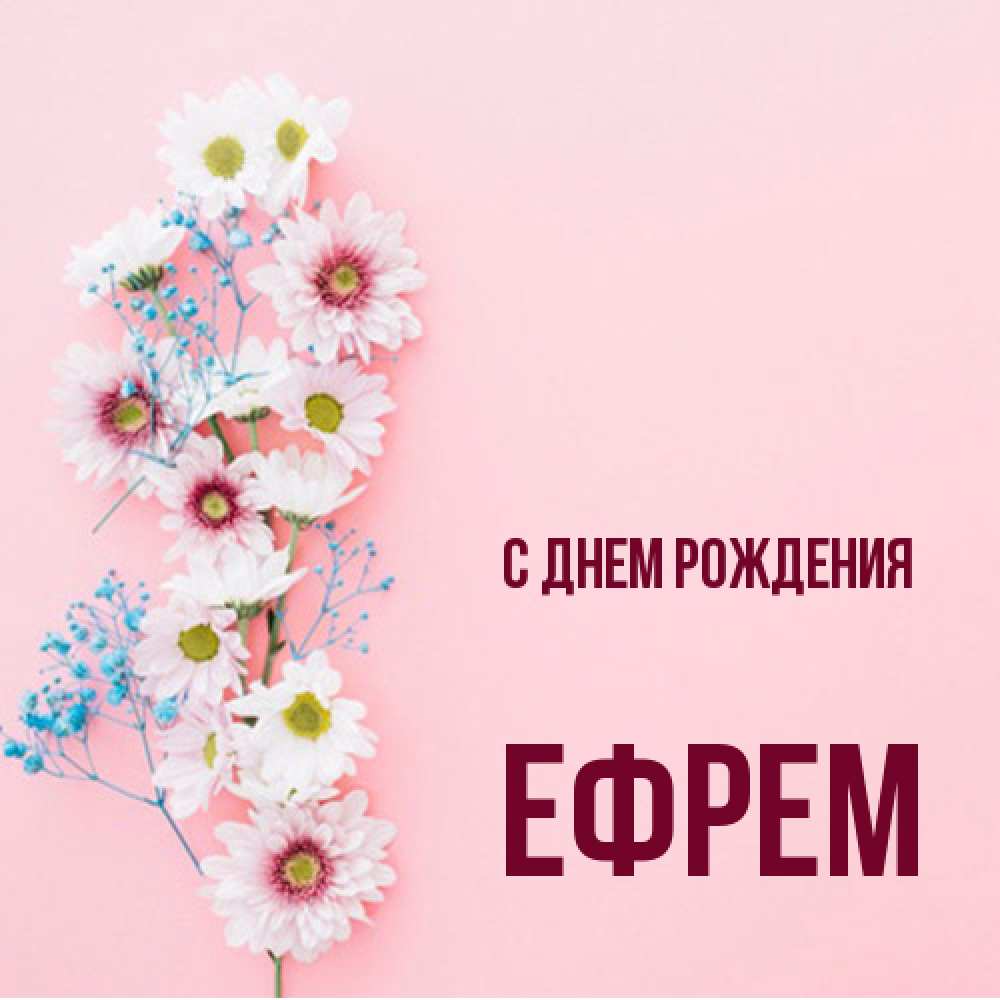Открытка на каждый день с именем, Ефрем С днем рождения Родная моя с днем рождения тебя картинка с цветами белыми и голубыми Прикольная открытка с пожеланием онлайн скачать бесплатно 