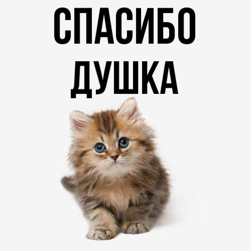 Картинка Спасибо, Душка