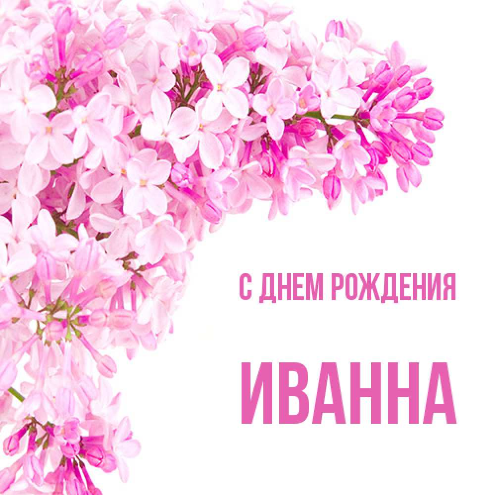 Открытка на каждый день с именем, Иванна С днем рождения Сирень на белом фоне Прикольная открытка с пожеланием онлайн скачать бесплатно 
