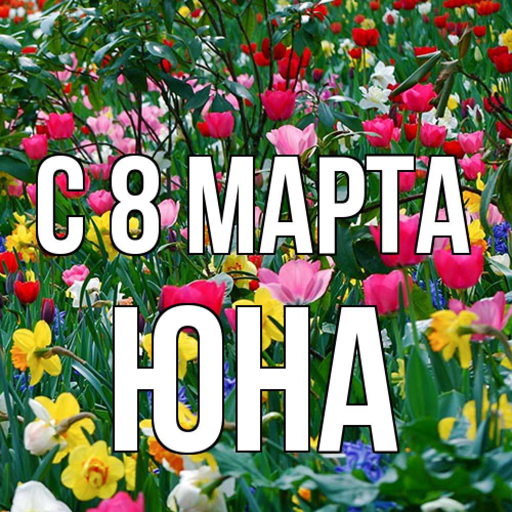 Открытка на каждый день с именем, Юна C 8 МАРТА с международным женским днем поздравления для женщины Прикольная открытка с пожеланием онлайн скачать бесплатно 
