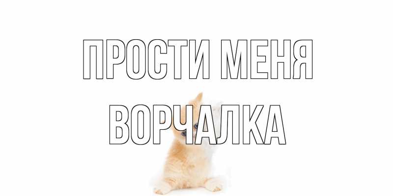 Картинка Прости меня, Ворчалка
