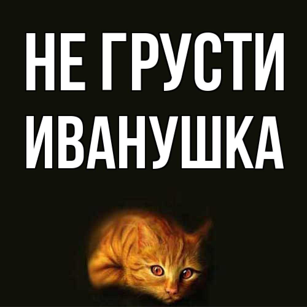 Открытка на каждый день с именем, Иванушка Не грусти лежащий кот в темноте Прикольная открытка с пожеланием онлайн скачать бесплатно 