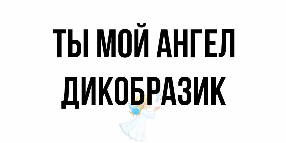 Открытка на каждый день с именем, дикобразик Ты мой ангел ангел, голубь Прикольная открытка с пожеланием онлайн скачать бесплатно 
