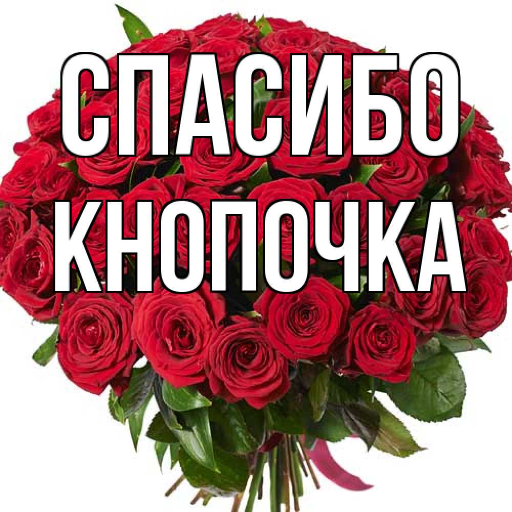 Открытка на каждый день с именем, Кнопочка Спасибо букет красных роз Прикольная открытка с пожеланием онлайн скачать бесплатно 
