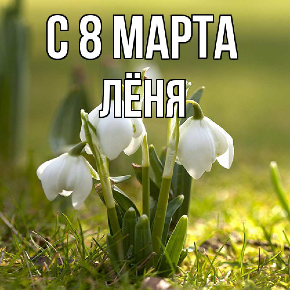 Открытка на каждый день с именем, Лёня C 8 МАРТА ранние цветы 2 Прикольная открытка с пожеланием онлайн скачать бесплатно 