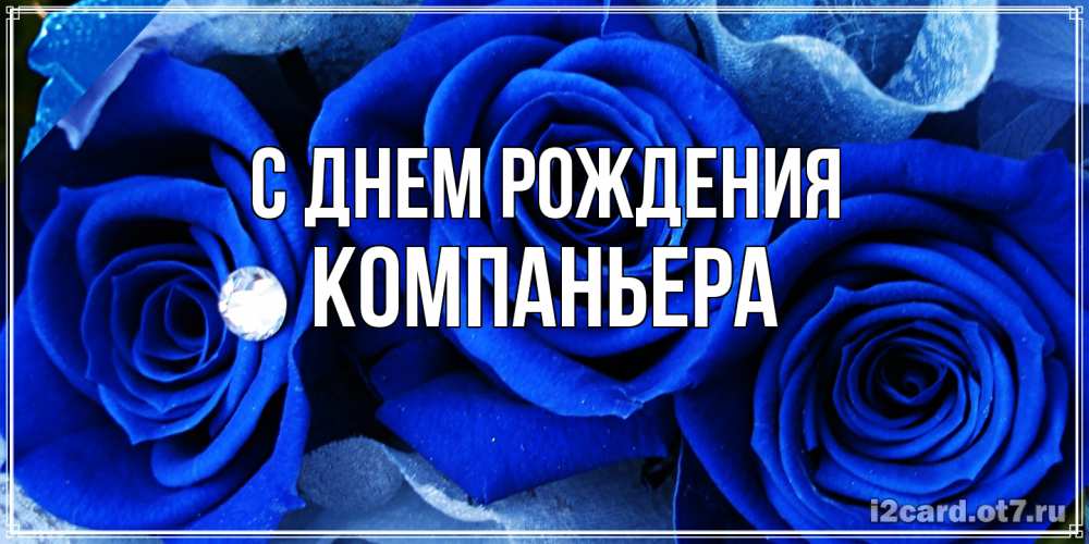 Открытка на каждый день с именем, Компаньера С днем рождения синие розы в росе Прикольная открытка с пожеланием онлайн скачать бесплатно 