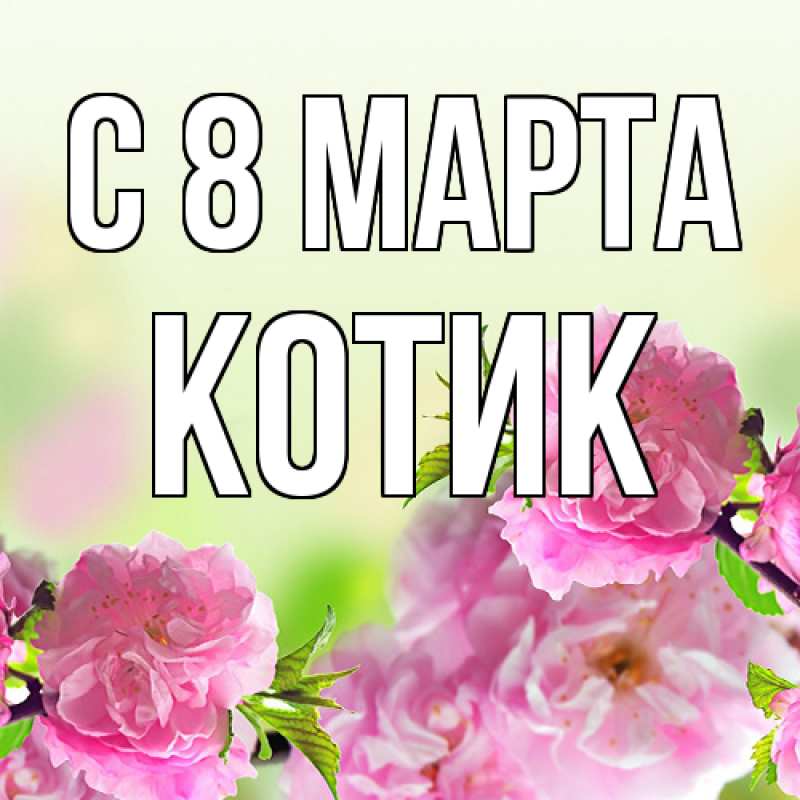 Картинка C 8 МАРТА, Котик