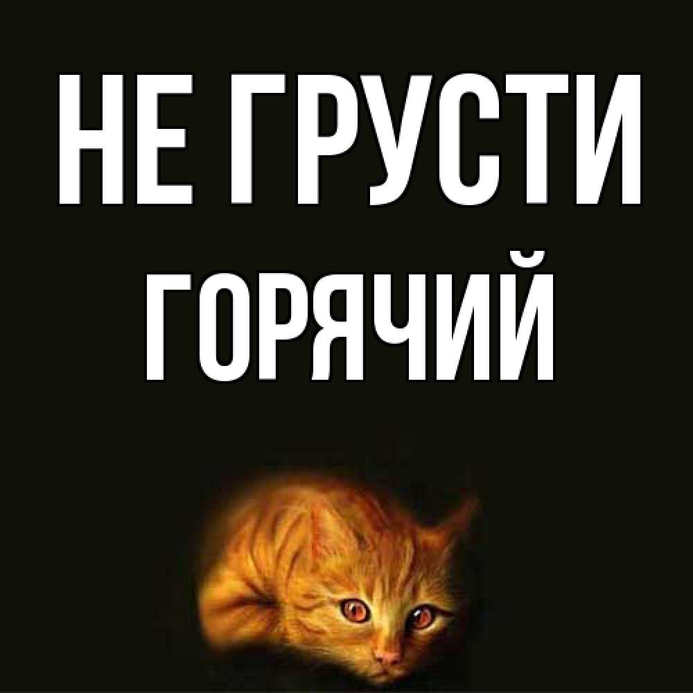 Открытка на каждый день с именем, Горячий Не грусти лежащий кот в темноте Прикольная открытка с пожеланием онлайн скачать бесплатно 