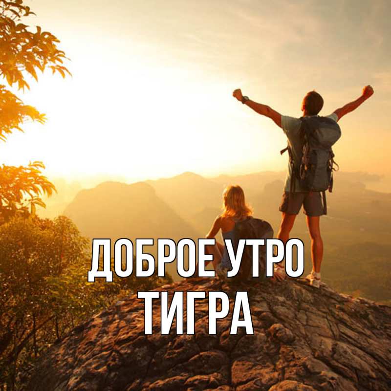 Картинка Доброе утро, Тигpа