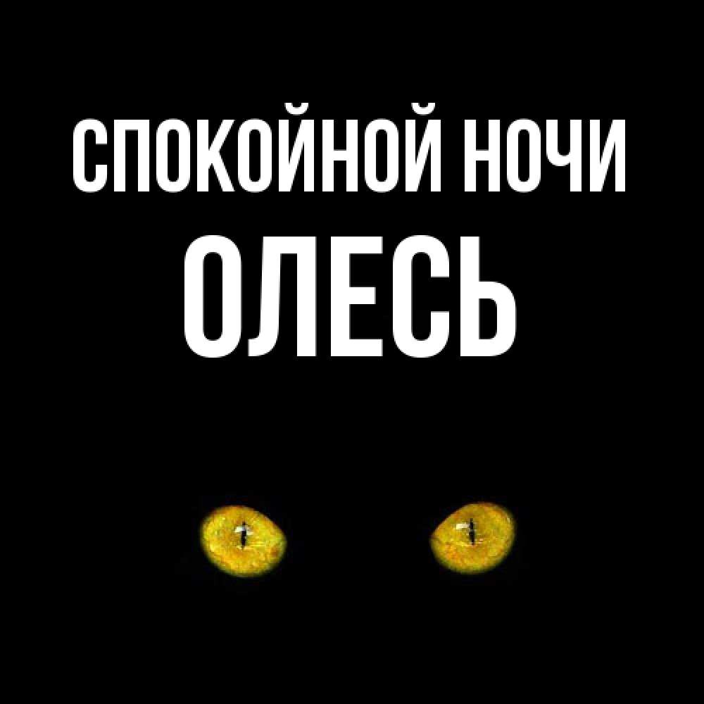 Открытка на каждый день с именем, Олесь Спокойной ночи сладких снов бесстрашный мой дружочек Прикольная открытка с пожеланием онлайн скачать бесплатно 
