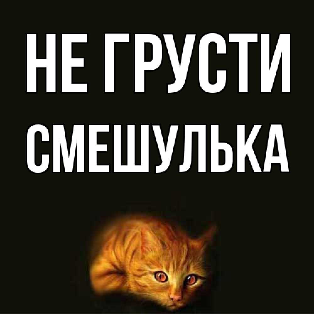 Открытка на каждый день с именем, Смешулька Не грусти лежащий кот в темноте Прикольная открытка с пожеланием онлайн скачать бесплатно 