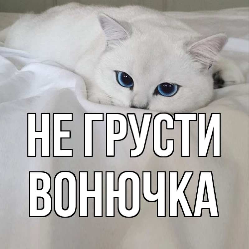 Картинка Не грусти, Вонючка