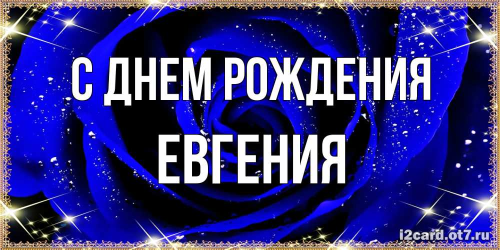Открытка на каждый день с именем, Евгения С днем рождения голубые цветы в росе Прикольная открытка с пожеланием онлайн скачать бесплатно 