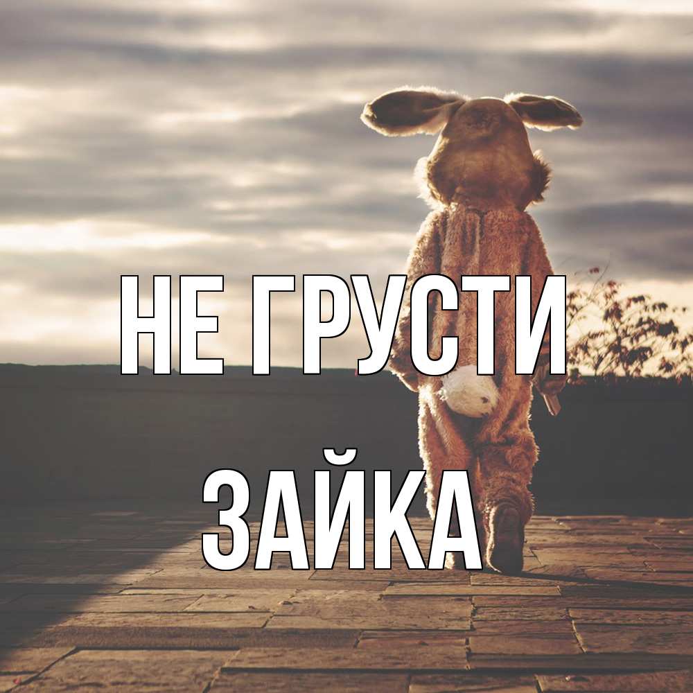 Открытка на каждый день с именем, Зайка Не грусти со спины Прикольная открытка с пожеланием онлайн скачать бесплатно 