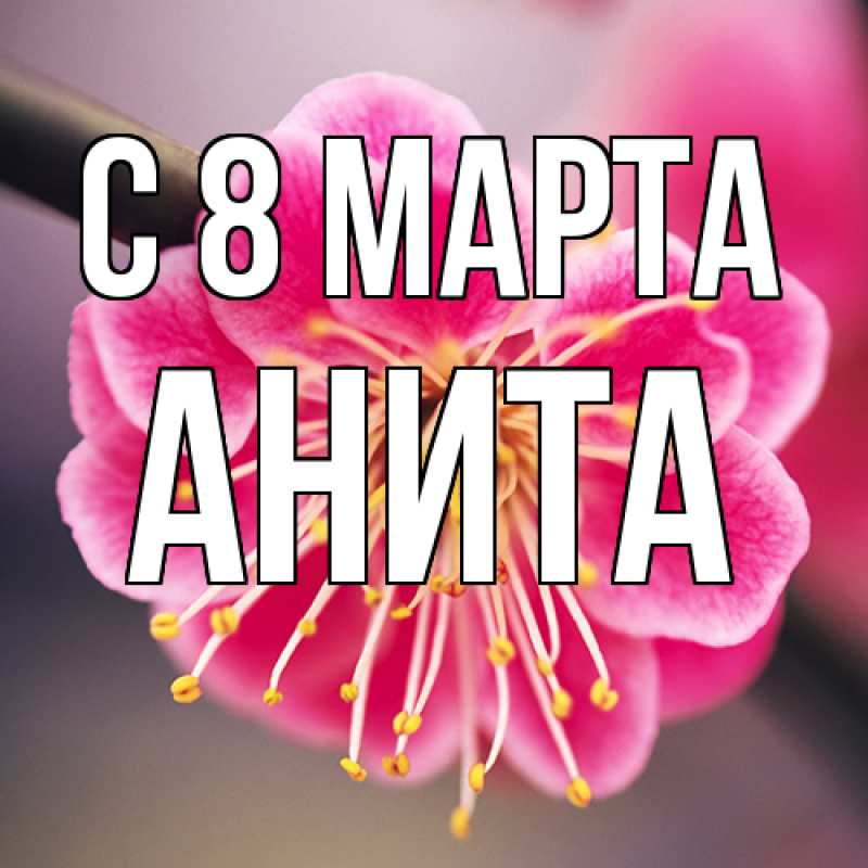 Картинка C 8 МАРТА, Анита